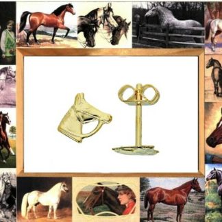 Elegant 14 karaat gouden paardenhoofd